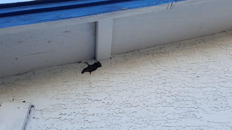 Synthetic Stucco Repair in Marin County, CA